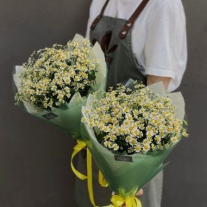 Букет из танацетума